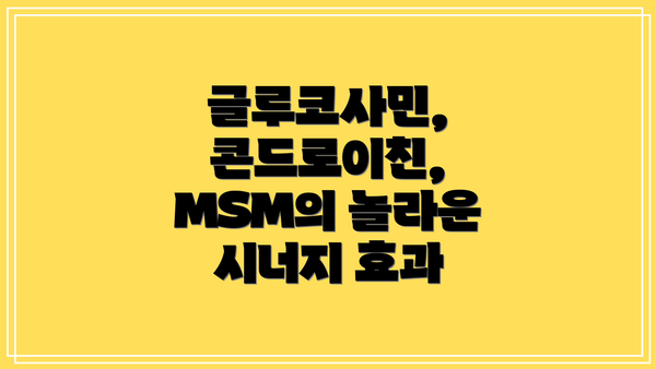 글루코사민, 콘드로이친, MSM의 비교 분석