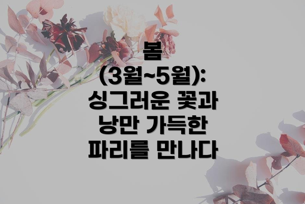 봄 (3월~5월): 싱그러운 꽃과 낭만 가득한 파리를 만나다