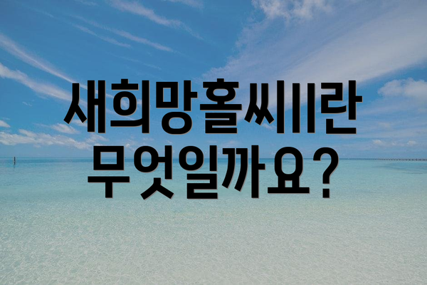 새희망홀씨II란 무엇일까요?