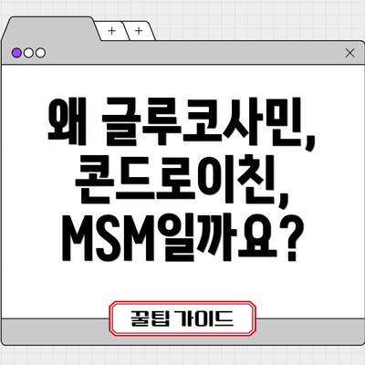 왜 글루코사민, 콘드로이친, MSM일까요?