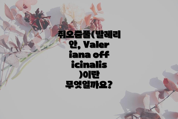 쥐오줌풀(발레리안, Valeriana officinalis)이란 무엇일까요?