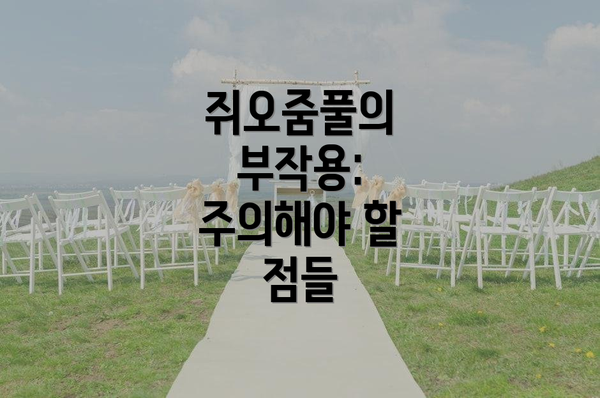 쥐오줌풀의 부작용:  주의해야 할 점들