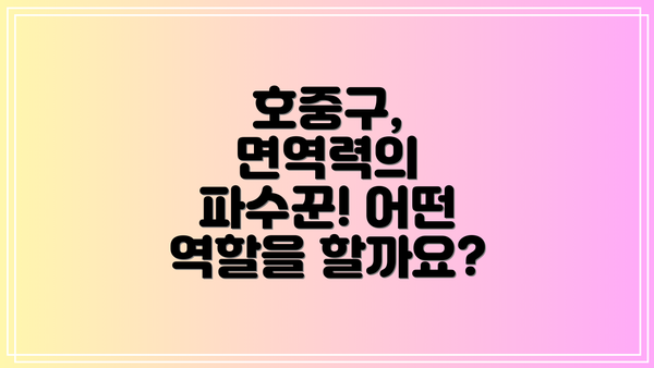 호중구, 면역력의 파수꾼! 어떤 역할을 할까요?