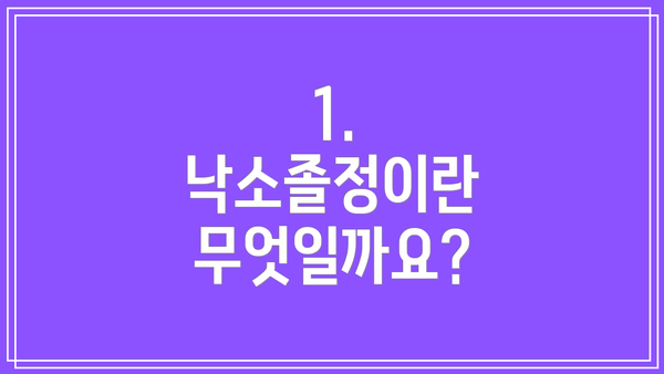 1. 낙소졸정이란 무엇일까요?
