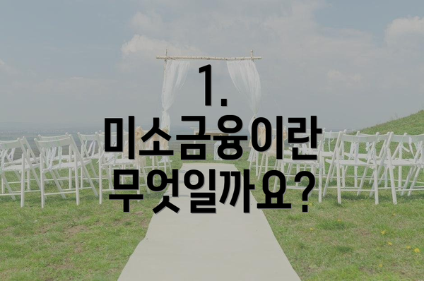1. 미소금융이란 무엇일까요?