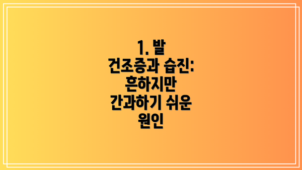 1. 발 건조증과 습진: 흔하지만 간과하기 쉬운 원인