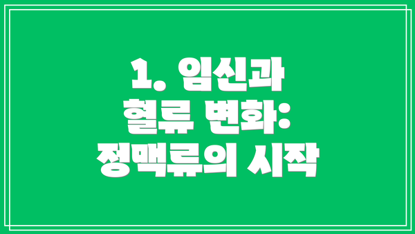1. 임신과 혈류 변화: 정맥류의 시작
