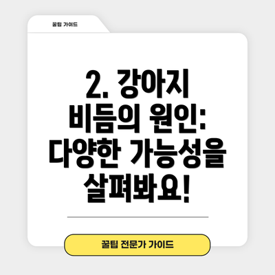 2. 강아지 비듬의 원인: 다양한 가능성을 살펴봐요!