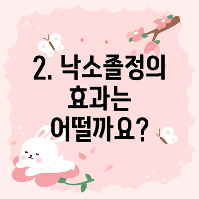2. 낙소졸정의 효과는 어떨까요?