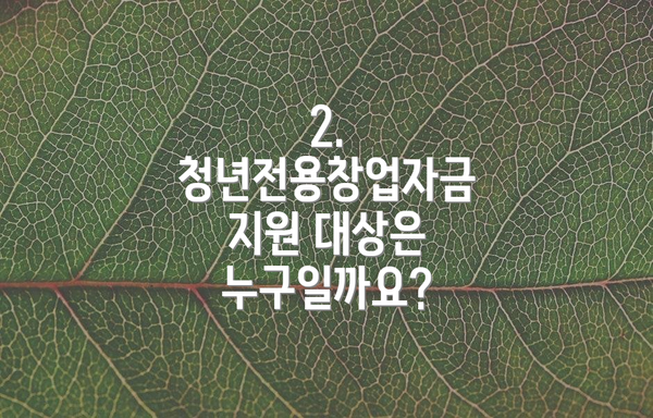 2. 청년전용창업자금 지원 대상은 누구일까요?