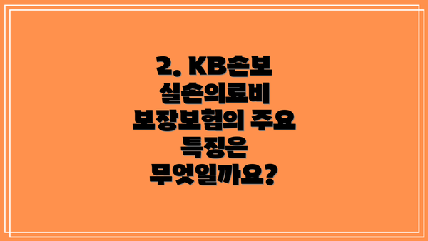 2. KB손보 실손의료비 보장보험의 주요 특징은 무엇일까요?
