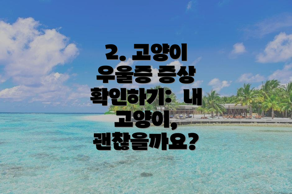 2. 고양이 우울증 증상 확인하기:  내 고양이, 괜찮을까요?
