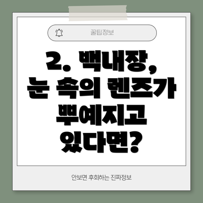 2. 백내장, 눈 속의 렌즈가 뿌예지고 있다면?