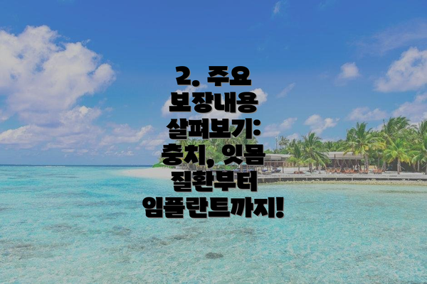 2. 주요 보장내용 살펴보기: 충치, 잇몸 질환부터 임플란트까지!