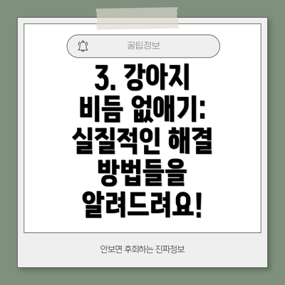 3. 강아지 비듬 없애기: 실질적인 해결 방법들을 알려드려요!