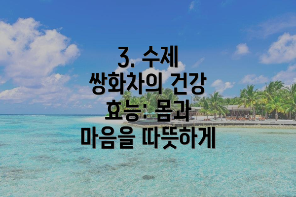 3. 수제 쌍화차의 건강 효능: 몸과 마음을 따뜻하게