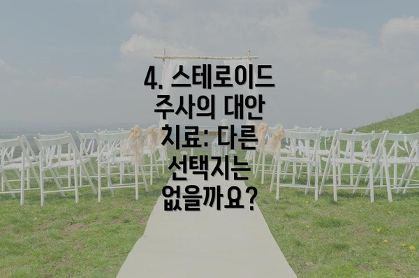 4. 스테로이드 주사의 대안 치료: 다른 선택지는 없을까요?
