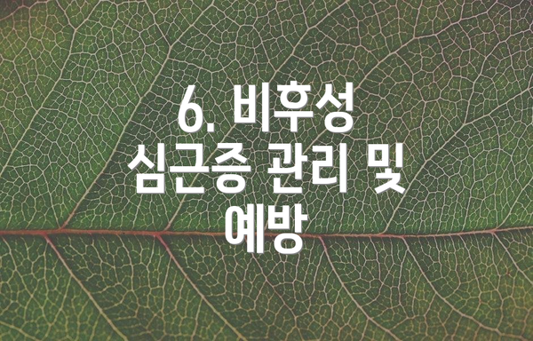 6. 비후성 심근증 관리 및 예방