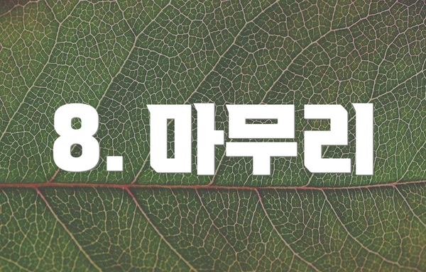 8. 마무리