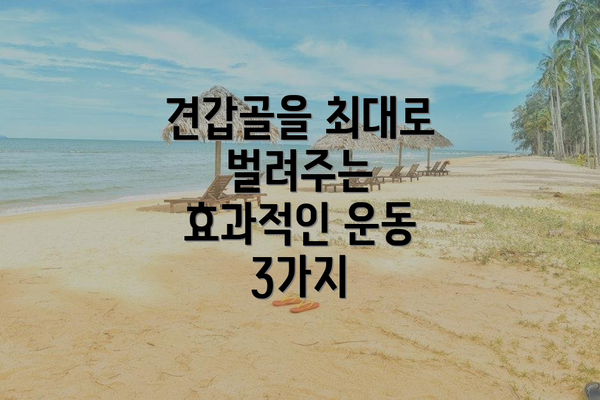 견갑골을 최대로 벌려주는 효과적인 운동 3가지