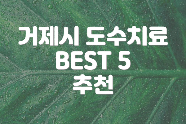 거제시 도수치료 BEST 5 추천