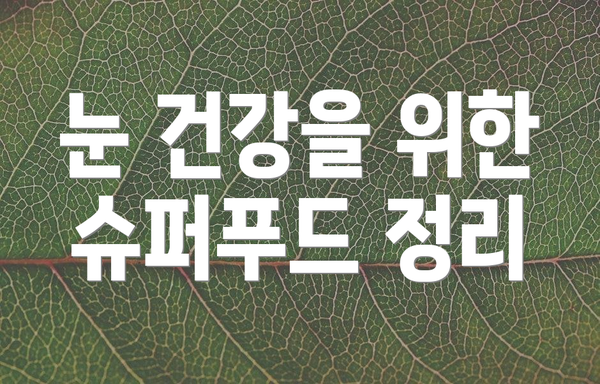 눈 건강을 위한 슈퍼푸드 정리