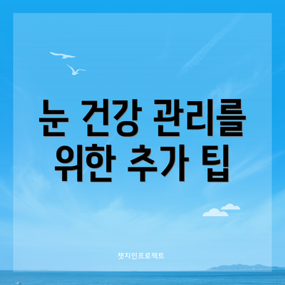 눈 건강 관리를 위한 추가 팁