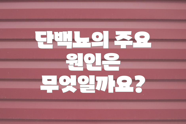 단백뇨의 주요 원인은 무엇일까요?