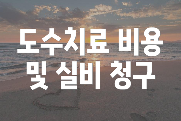 도수치료 비용 및 실비 청구