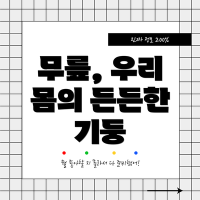 무릎, 우리 몸의 든든한 기둥