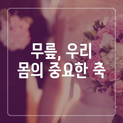 무릎, 우리 몸의 중요한 축