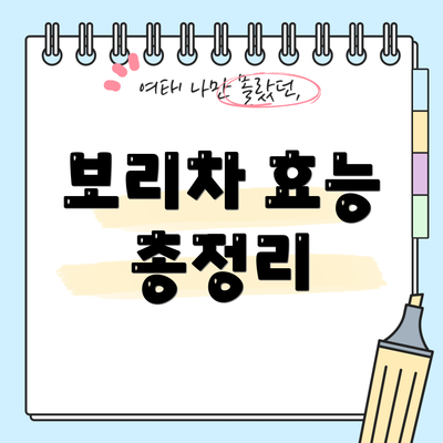 보리차 효능 총정리