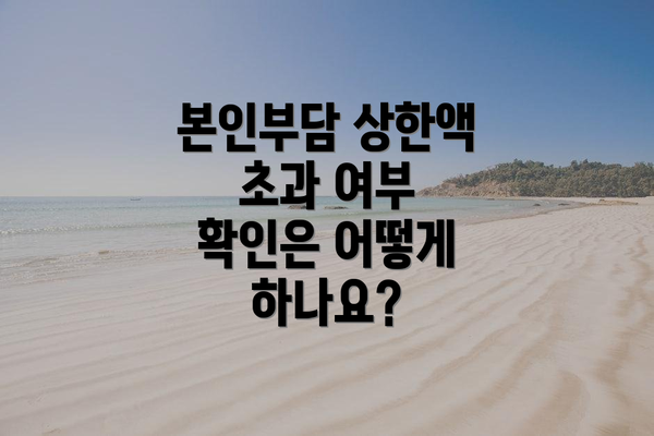 본인부담 상한액 초과 여부 확인은 어떻게 하나요?