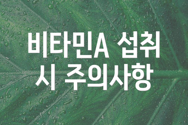 비타민A 섭취 시 주의사항
