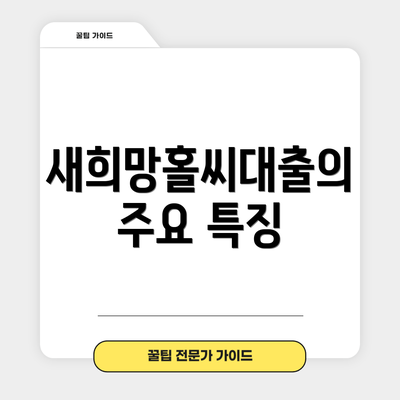 새희망홀씨대출의 주요 특징