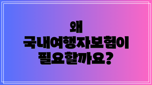 왜 국내여행자보험이 필요할까요?