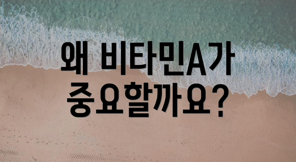 왜 비타민A가 중요할까요?