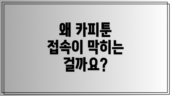 왜 카피툰 접속이 막히는 걸까요?