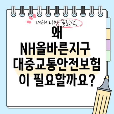 왜 NH올바른지구 대중교통안전보험이 필요할까요?