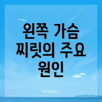 왼쪽 가슴 찌릿의 주요 원인