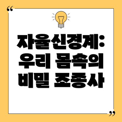 자율신경계: 우리 몸속의 비밀 조종사