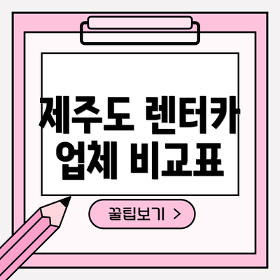 제주도 렌터카 업체 비교표