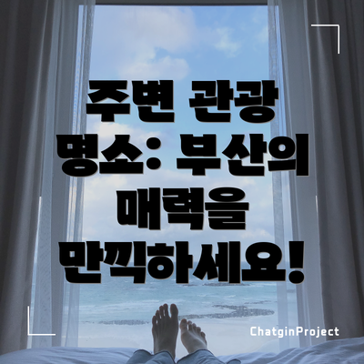 주변 관광 명소: 부산의 매력을 만끽하세요!