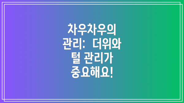 차우차우의 관리: 더위와 털 관리가 중요해요!