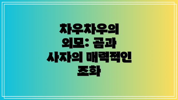 차우차우의 외모: 곰과 사자의 매력적인 조화