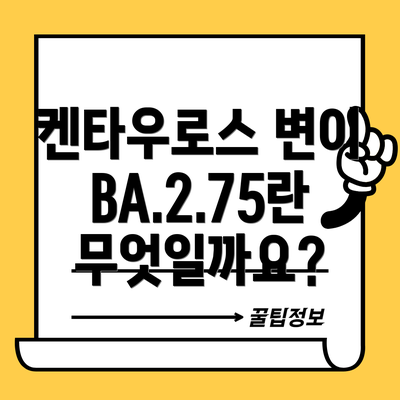 켄타우로스 변이 BA.2.75란 무엇일까요?