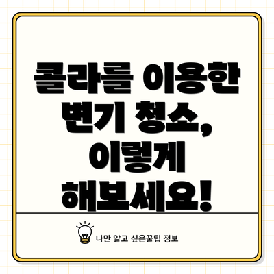콜라를 이용한 변기 청소, 이렇게 해보세요!