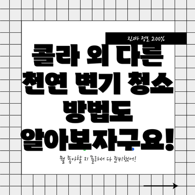 콜라 외 다른 천연 변기 청소 방법도 알아보자구요!