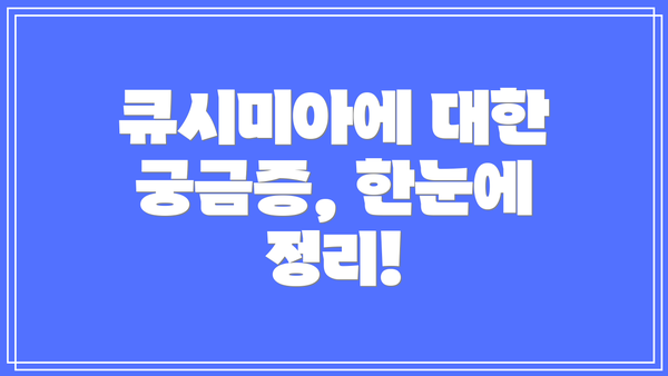 큐시미아에 대한 궁금증, 한눈에 정리!