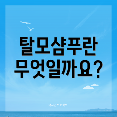 탈모샴푸란 무엇일까요?
